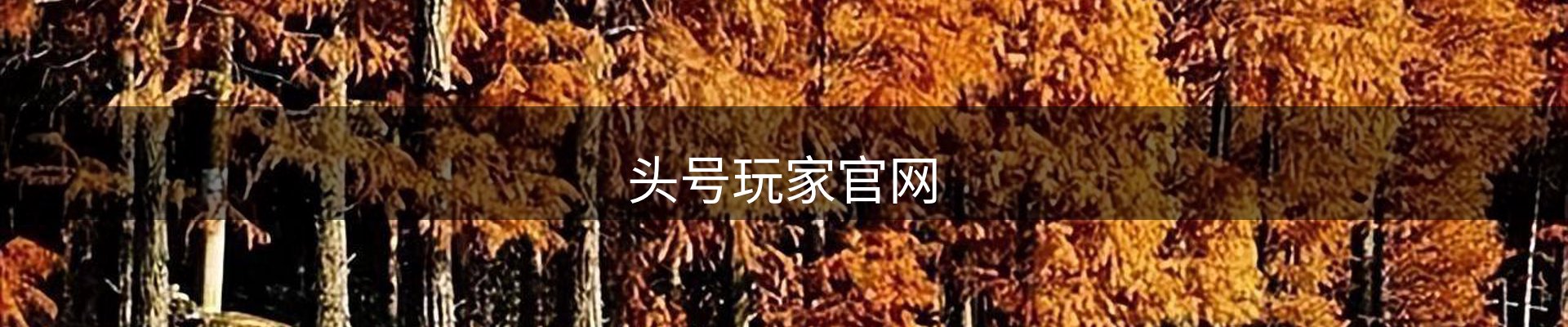 头号玩家官网